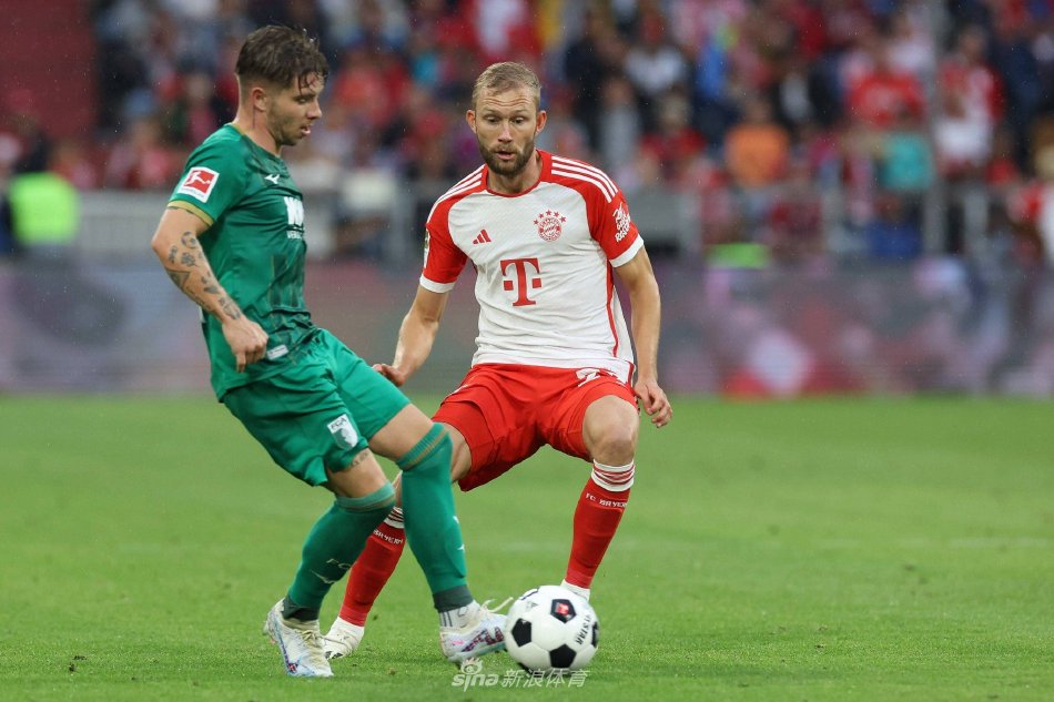 鲜明对比 鲜明对比